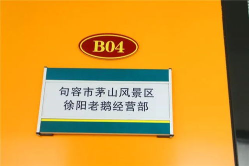 亮相天王唐陵 華東森林產(chǎn)品電商城,助力森林產(chǎn)品搭上 進(jìn)城直通車(chē)