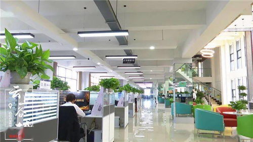 厲害 雙11 谷城電商銷售額近億元 農(nóng)特產(chǎn) 爆賣 全國(guó)