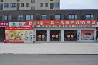 中國(guó)互聯(lián)網(wǎng)的未來(lái)在農(nóng)村,農(nóng)村電子商務(wù)的未來(lái)在供